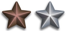 Silver and Bronze Service Stars